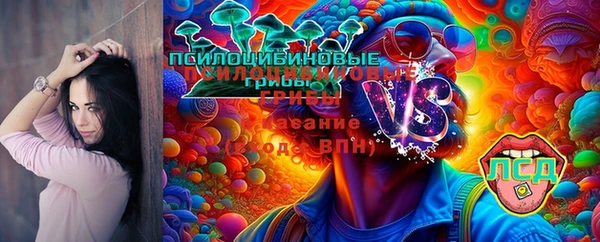 индика Баксан